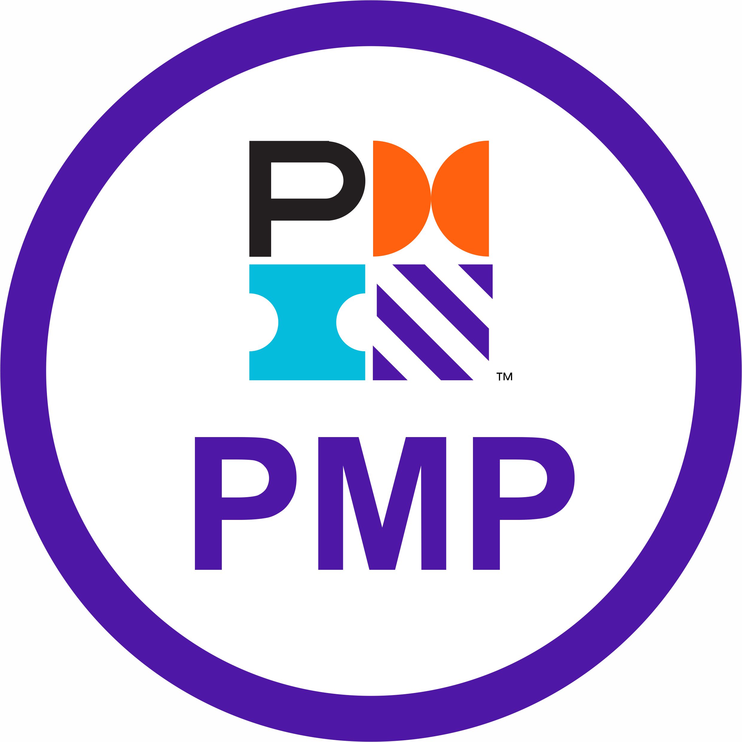 PMP Logo
